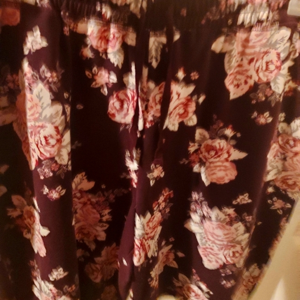 Nwots 2xl Jamie shorts never worn